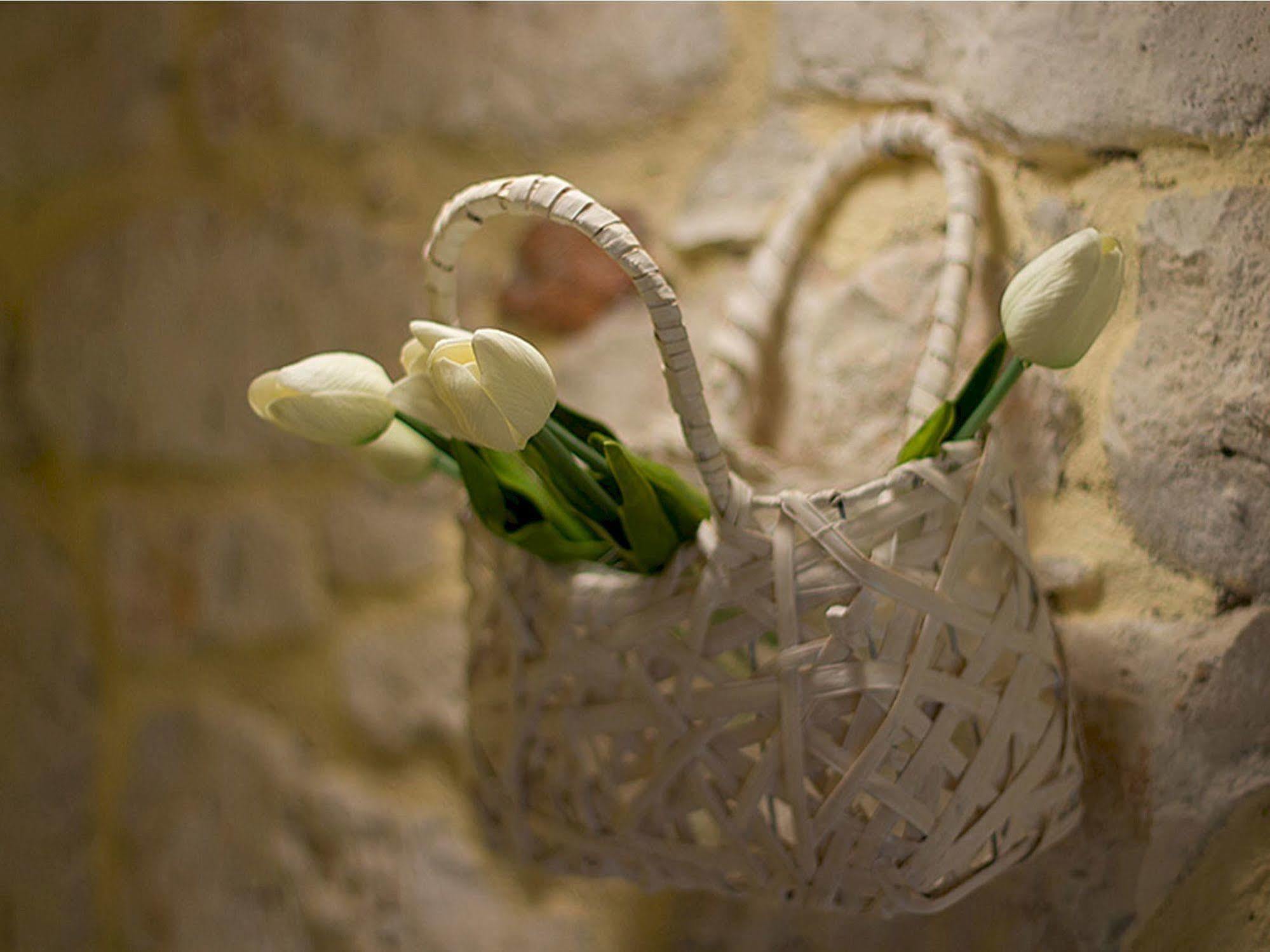 Rooms Villa Duketis Rovinj Ngoại thất bức ảnh